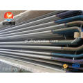 ASTM A213 TP317L U BEL TUBE